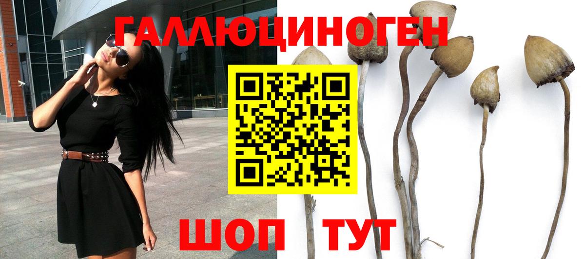 Нарьян-Мар  Псилоцибиновые грибы Cubensis  Вход с VPN 